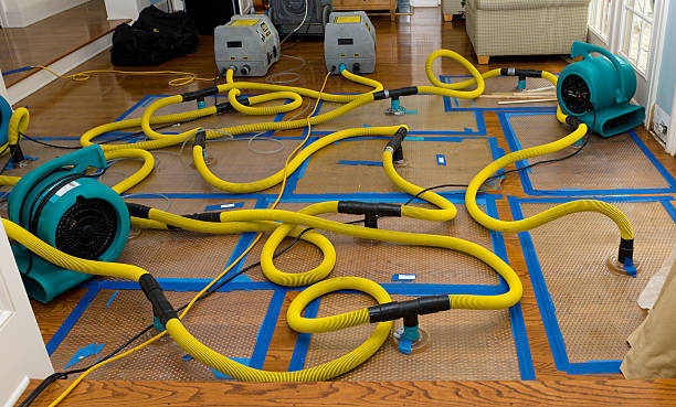 Professional Water Damage Repair technician working in Waleska, GA